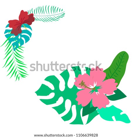 Set of cute tropical elements for decoration and design
