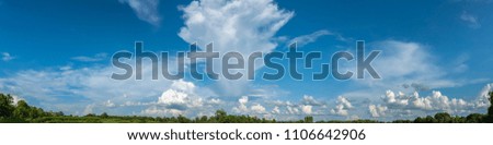 panorama image of trees and white cloud on blue sky day time for background usage.