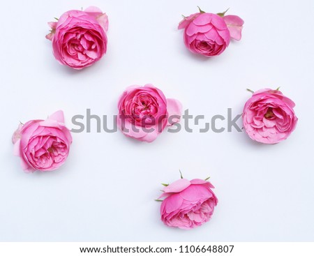  Styled desktop scene with  fresh pink  roses  copy space on white table.  Flat lay, top view. Concept spring flowers. 