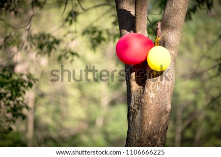 abstract inflatable balls on the tree in the park