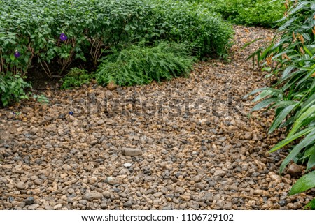 Gravel pathway with green plants in park