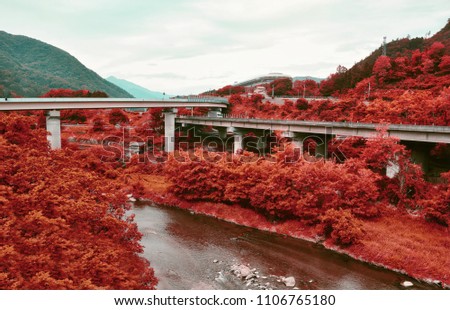 Red autumn forest and mountains, flyover and nature, red fall nature at Honshu island, Yamanashi, Japan. Pop art colored landscape 