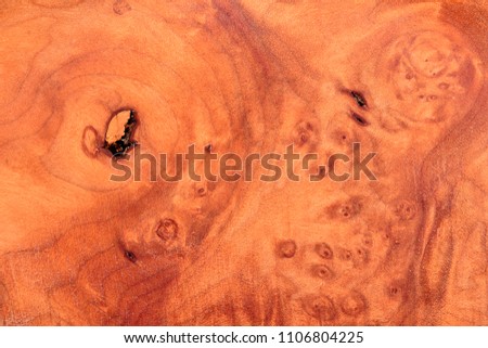 Burl wood with beautiful swirl patterns and the typical small circles make a beautiful effect within the woodgrain.   Can be used as tileable map.