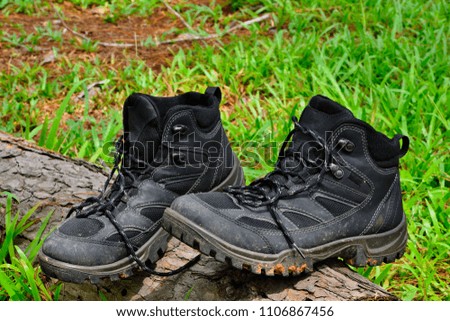 A pair of black hiking boots on timber in the lawn.