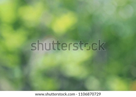 Blurred tree, Natural background