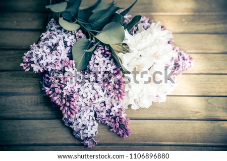 Lilac Lilac As a soft floral background
