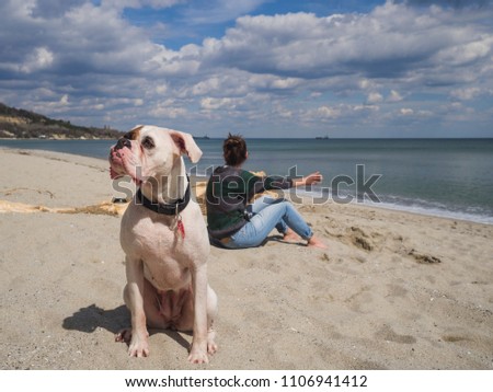 Portrait of a beautiful white boxer dog at the beach looking away from camera