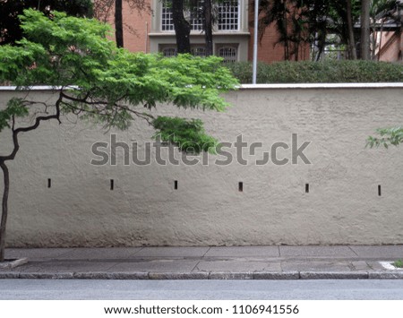 ancient wall with sidewalk and tree