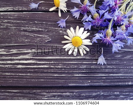 bouquet of cornflowers, chamomile on a black wooden background