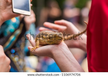 woman holding a lizard on hand