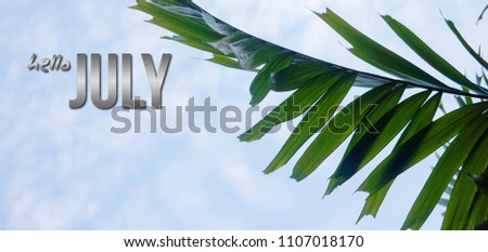 HELLO JULY text on beautiful soft focus background