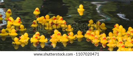 Many Ducky Toy Little Yellow Rubber Duck Bath Toy floating on the river
