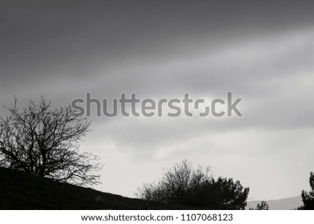 A Dramatic Sky Scene and Trees