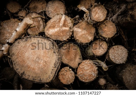Wooden Log Pile