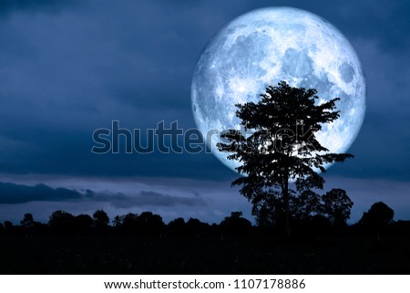 super moon back over on silhouette tree in night sky, Elements of this image furnished by NASA Royalty-Free Stock Photo #1107178886
