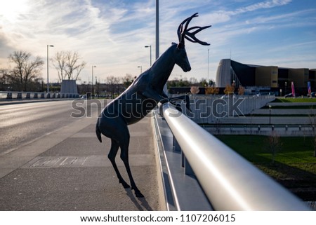 Deer on Columbus City Bridge
