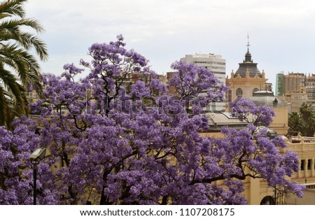 Spain. Malaga. City panorama photo