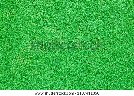 grass background Golf Courses green lawn pattern textured background.