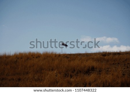 Australian flag blowing in the wind on a flag pole in a farm yard surrounded by dry grass and blue skies and clouds