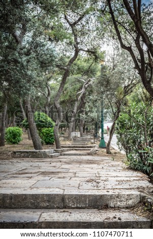 Olive grove near the Acropolis of Athens. Ancient ruins and landmarks. Outdoor museums and sightseeing. Travel and city exploration