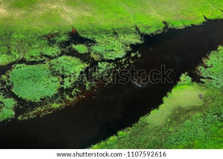 Hippo in water and Aerial landscape in Okavango delta, Botswana. Lakes and rivers, view from airplane. Green vegetation in South Africa. Trees with water in rainy season. 