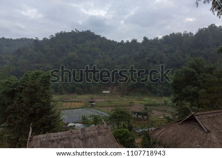 Scenic view of an elephant village in Chiang Mai, Thailand comprises of primitive houses and vegetable fields with green tropical wood in the background.