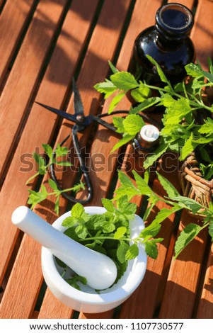 fresh mint leaves, peppermint oil and mortar with pestle pharmacy