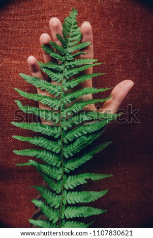 Unity with nature. Fern leaf on the hand. the hand of a girl with a palm up lies on a red background with a green plant. A combination of contrasting colors. Wallpaper.earth forces, vegetation, fern 