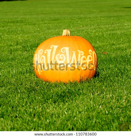 Picture of a pumpkin, with Halloween cut in the surface Standing on a lawn
