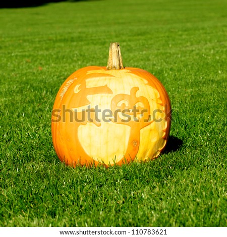 Picture of a pumpkin, with silhouette of a witch and a pumpkin cut in the surface Standing on a lawn