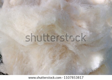 Wool in shadow in the garden Royalty-Free Stock Photo #1107853817