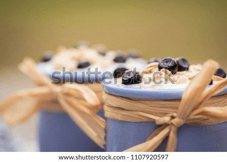 Yogurt. Stone bowl with fresh greek yogurt and berries