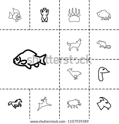 Wild icon. collection of 13 wild outline icons such as bear, fish, goat, horse, goose, animal paw, hog, mouse, buffalo, antelope, deer. editable wild icons for web and mobile.