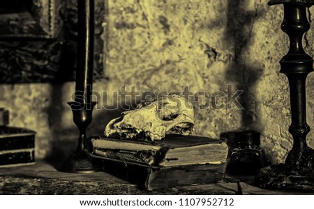 Animal skull with old books, detail of antique decoration