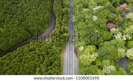 aerial view of forest road