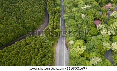 aerial view of forest road
