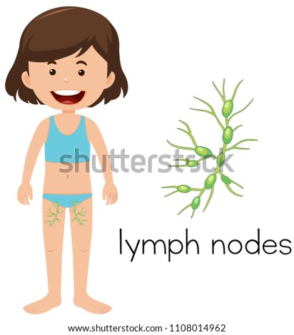 Girl with placement of lymph nodes illustration