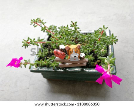A succulent plant with small dog figurine