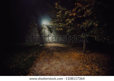 fog in the park, night, soft focus, high iso