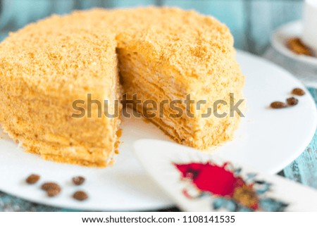 Honey cake on white plate on wooden table. Picture for a menu or a confectionery catalog. 