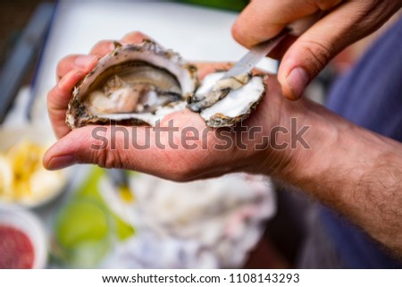 A man shucking oysters with an oyster knife Royalty-Free Stock Photo #1108143293