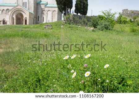 Attractive spring panorama. old temple in the midst of a green field