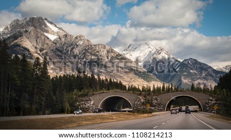 Wildlife Crossing over busy Trans Canada Highway in Banff National Park, Canadian Rockies Royalty-Free Stock Photo #1108214213