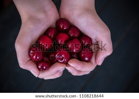 Hands full of cherries /
Directly above view of ripe red cherries in hands folded in the shape of heart