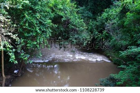 View of river way with beside of green tree and weed and vine (tropical plant) in the environment, Turbid water after stopped raining.  