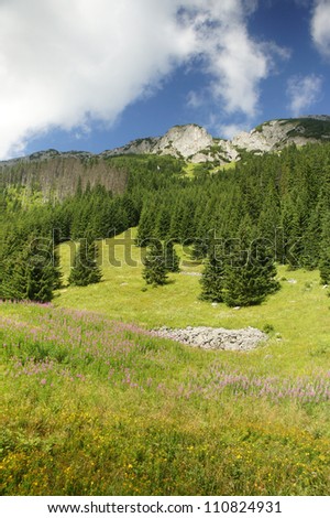 Picture of the mountain views in the Tatras