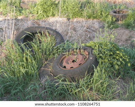 Wheels from an old car lying on the grass and ground. Vintage wheels from a destroyed vehicle, rusty garbage. Automotive scrap on a dump.
