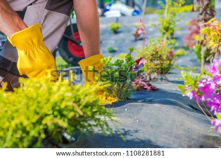 Gardener Spring Planting. Caucasian Garden Technician During Process of Creating New Lawn Around the House. Royalty-Free Stock Photo #1108281881