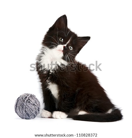 Black-and-white kitten with a woolen ball on a white background