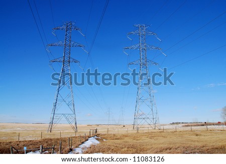 two high voltage pylon on golden field